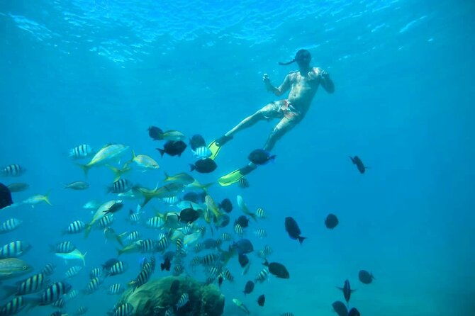 amber-cove-taino-bay-vip-party-boat-and-snorkeling-tour