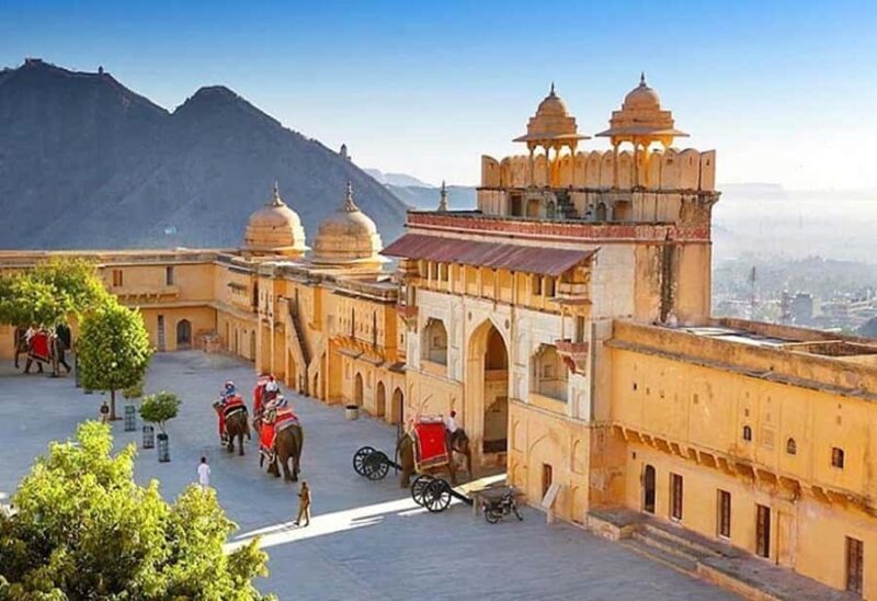 Amber Fort Hidden Stepwell & Heritage Village Walk with Chai - Who Should Consider This Tour?