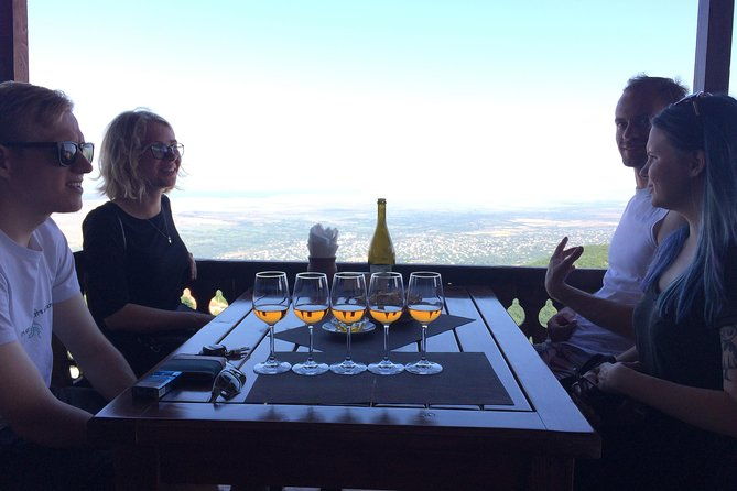amber-wines-private-day-trip-with-tastings-and-lunch-from-tbilisi