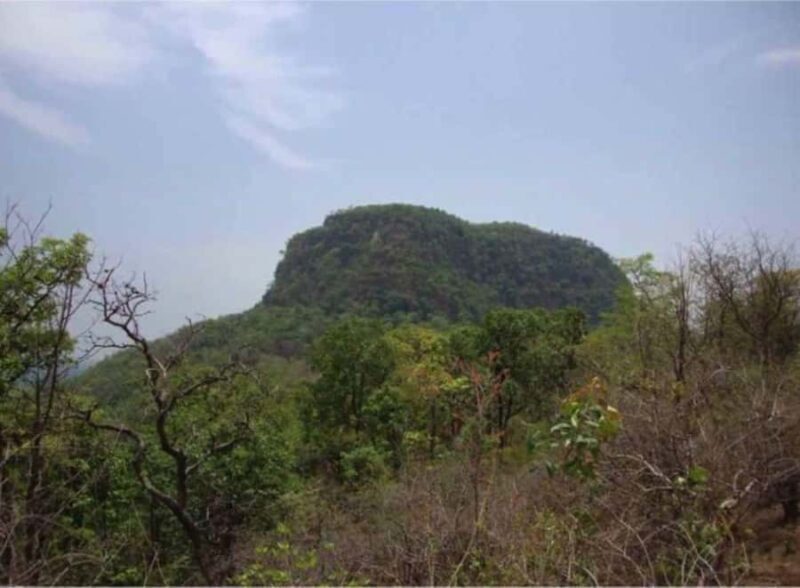 Ambikapur Same-Day Tour: Temples, Hot Springs & Scenic Hills - Who Is This Tour Best For?