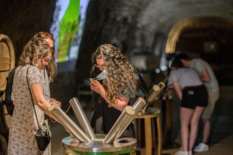 amboise-caves-ambacia-visit-and-wine-tasting
