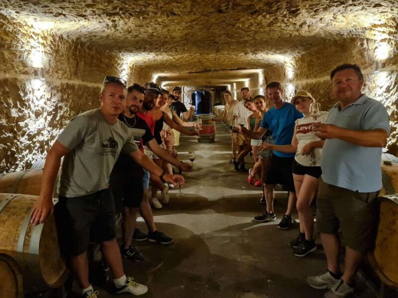 amboise-highlights-private-e-bike-tour-w-clos-luce-ticket