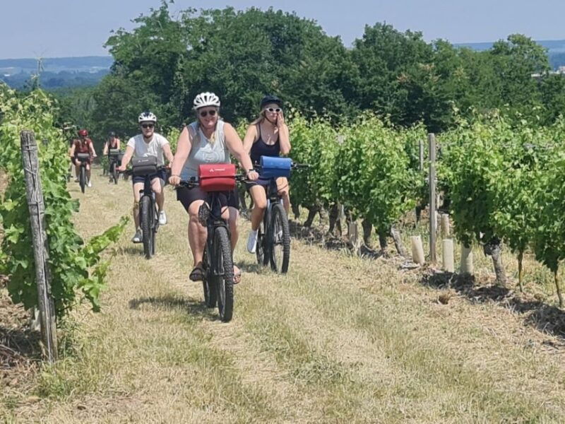 amboise-highlights-private-e-bike-tour-w-clos-luce-ticket