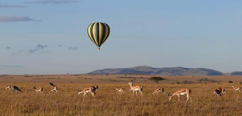 Amboseli; 2 days safari to Amboseli park from Nairobi. - Who Will Love This Tour?