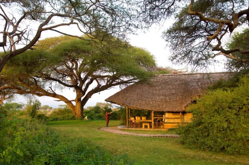 Amboseli: 3-Day Safari Adventure at Tortilis Camp - Final Thoughts: Is This Safari for You?  