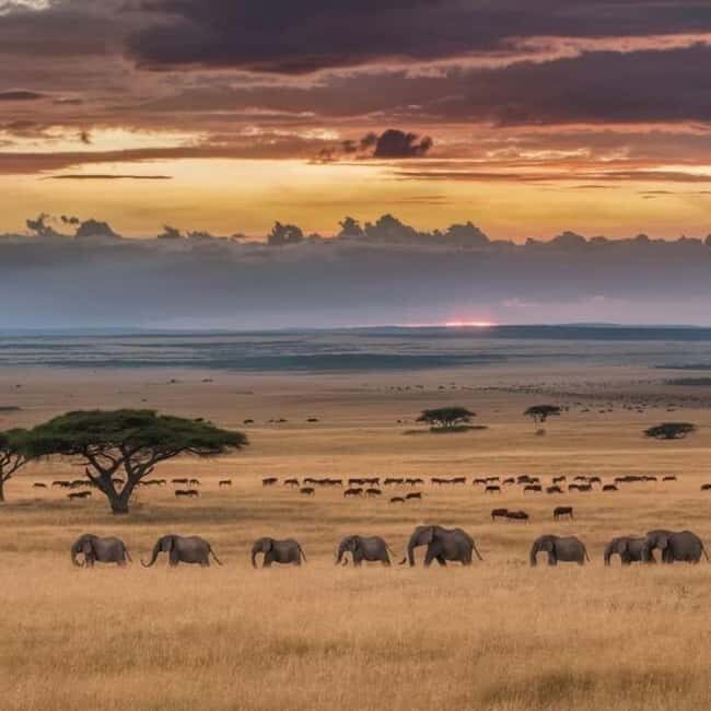 AMBOSELI: 3 DAYS AMBOSELI BUDGET GROUP JOINING SAFARI - What’s Included and What’s Not