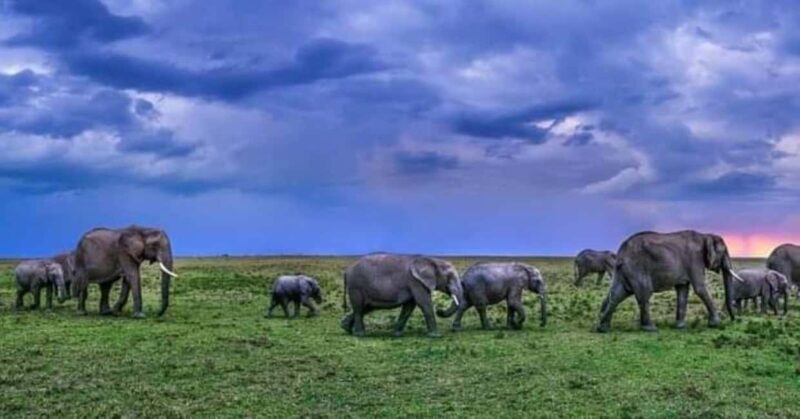 AMBOSELI: 3 DAYS AMBOSELI BUDGET GROUP JOINING SAFARI - Final Thoughts