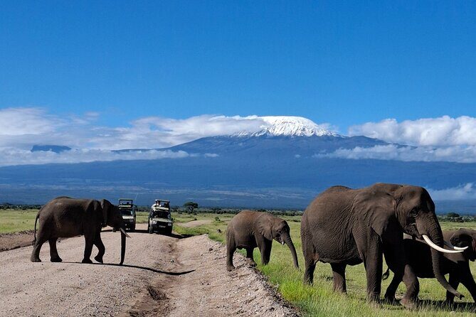 Amboseli Day Tour from Nairobi - Exploring the Itinerary in Detail