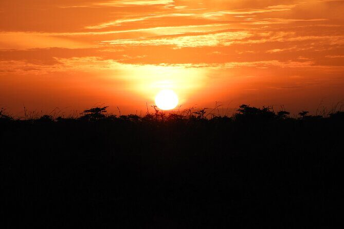 Amboseli Day Tour from Nairobi - Final Thoughts