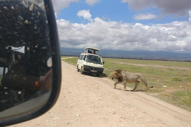 Amboseli Day Trip!! - Key Points
