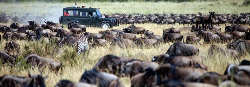 Amboseli: Day Trip in a 4X4 (WiFi & Picnic Lunch Included) - Arrival at Amboseli National Park