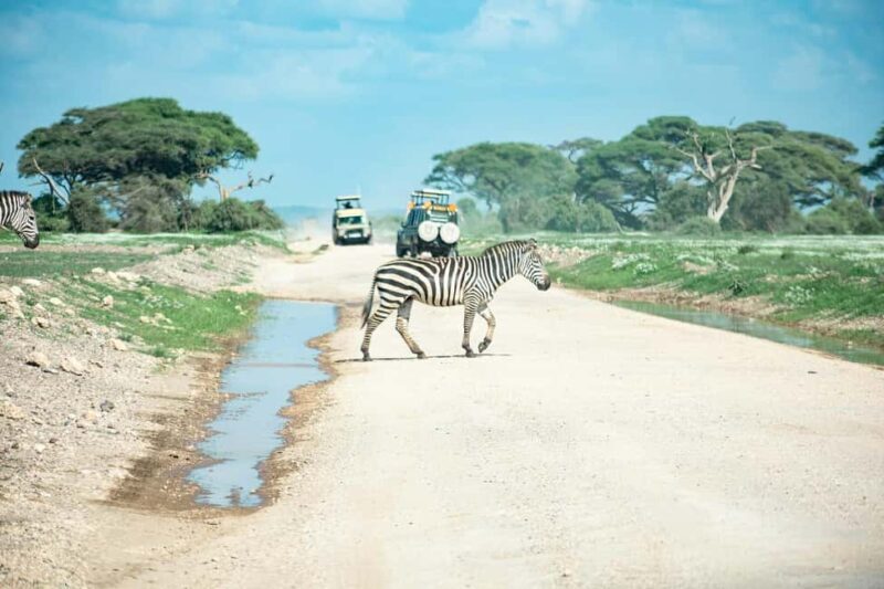Amboseli Day Trip Tour With Maasai Village Visit - Transportation & Timing
