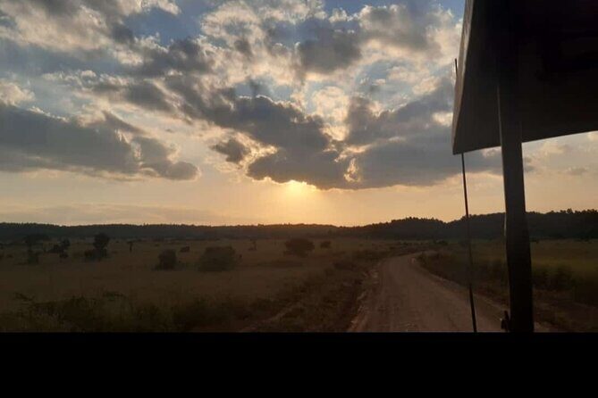Amboseli Day Trip with Pickup - The Sum Up