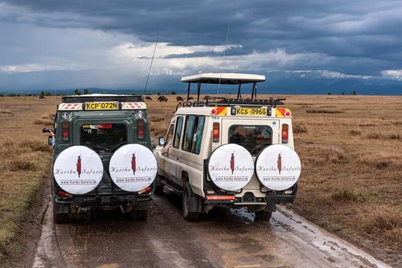 "Amboseli Day Trip with Picnic Lunch Included" - Final Takeaways
