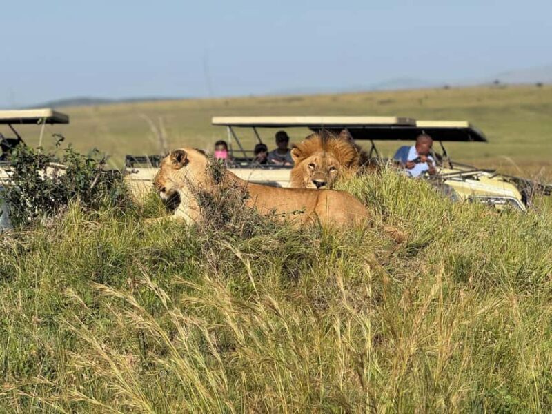 Amboseli National Park: 2-Day 1 Night Safari - Overview of the Amboseli Safari Experience
