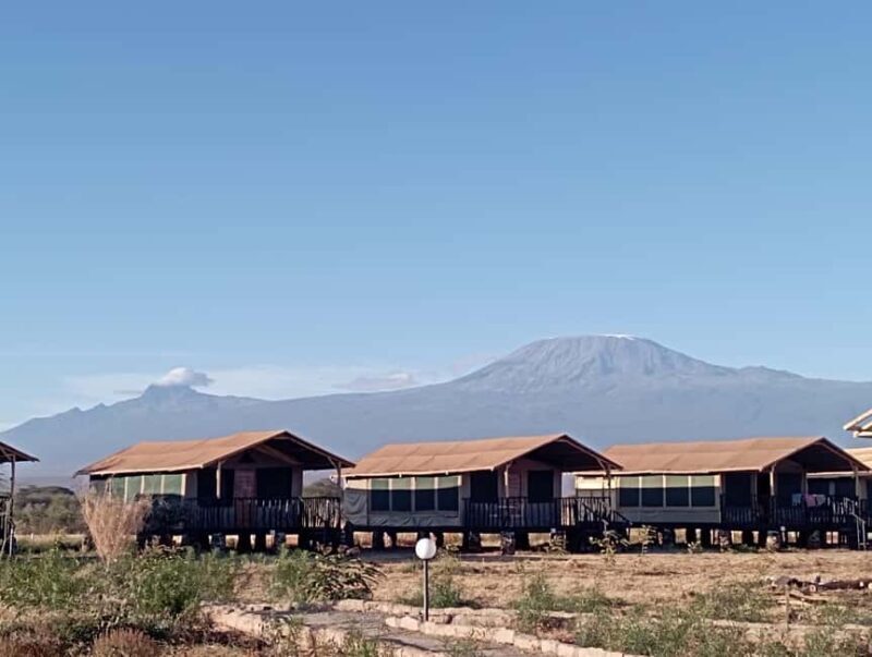 Amboseli national park day tour - Key Points  