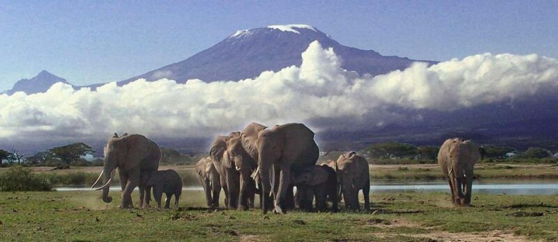 Amboseli National Park Day Trip from Nairobi - The Itinerary Breakdown