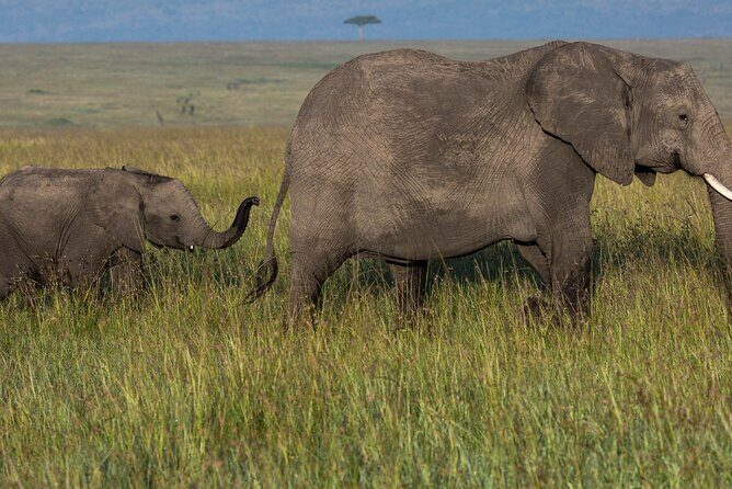 Amboseli National Park for 1 night and 2 days - Final Thoughts