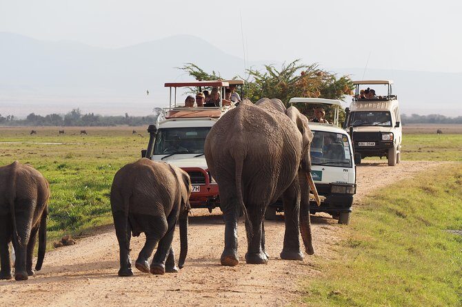Amboseli National Park Full Day Guided Tour - Amboseli National Park Full Day Guided Tour: An In-Depth Review