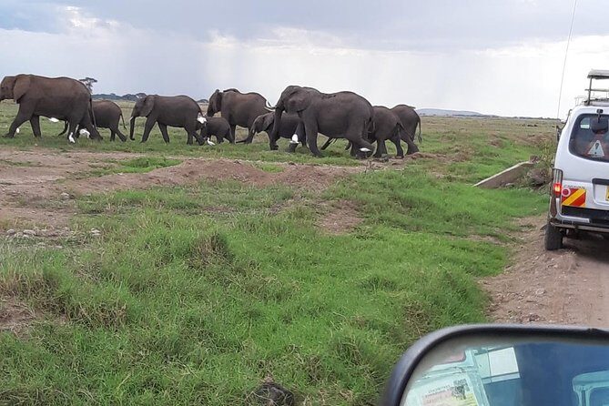 Amboseli National Park Guided Full Day Tour - Final Thoughts