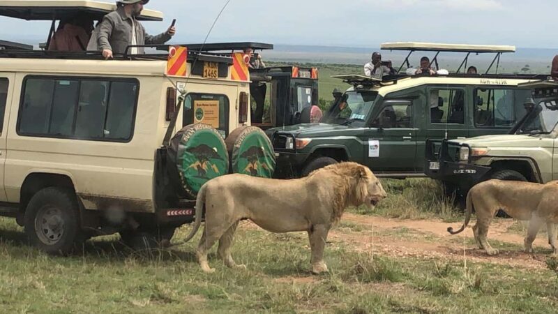Amboseli National Park: Safari with Accommodation - Key Points