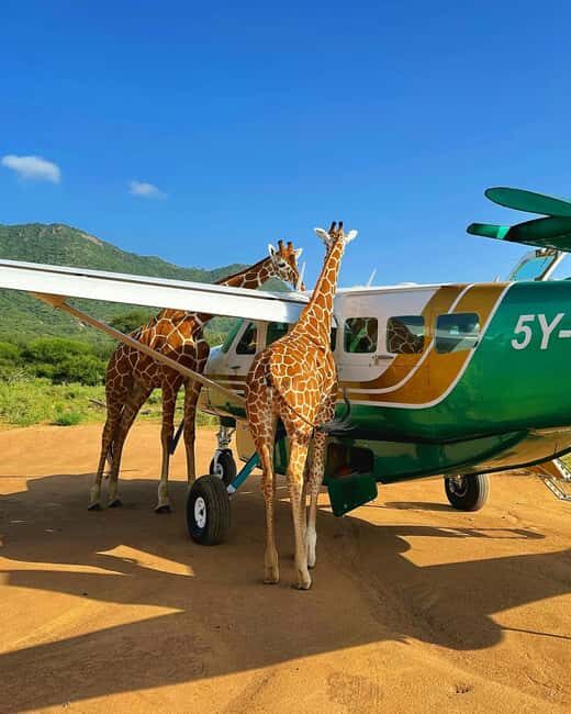 Amboseli National Park: Safari with Accommodation - What to Expect from Your 3-Day Amboseli Safari