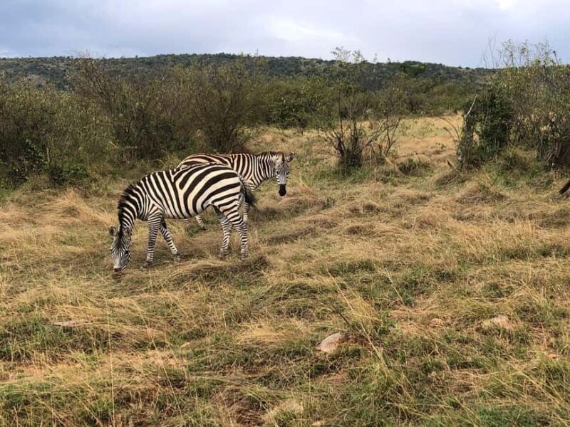 Amboseli National Park: Safari with Accommodation - Final Thoughts