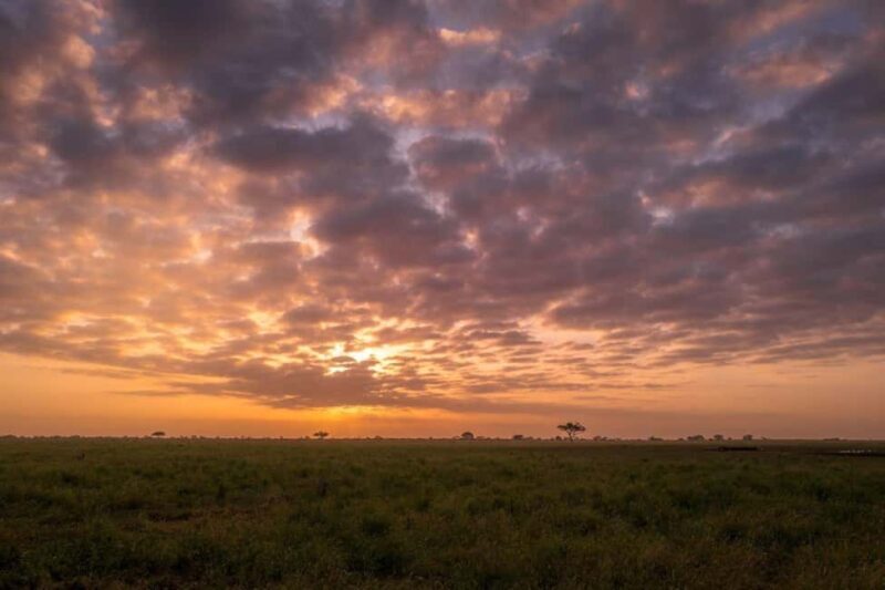 Amboseli, Tsavo East, Tsavo West & Sanctuary Safari - Exploring the Tour in Detail