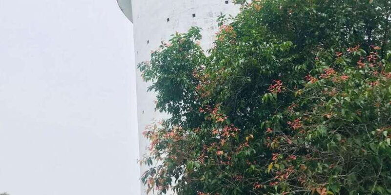 ambuluwawa-tower-with-kandy-city-tour