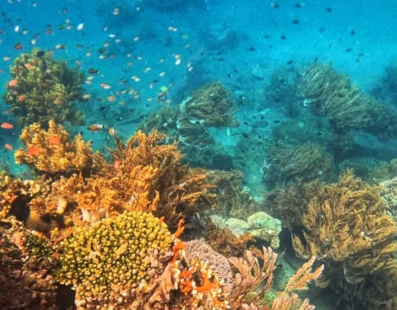 Amed All Exclusive Snorkeling, Fishing & Cooking Lunch - The Sum Up: Who Should Consider This Tour?