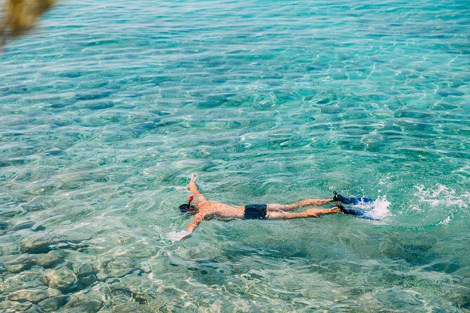 Amed Bali Snorkelling: Japanese Shipwreck & Vienna Beach Tour - Authentic Marine Encounters with Knowledgeable Guides