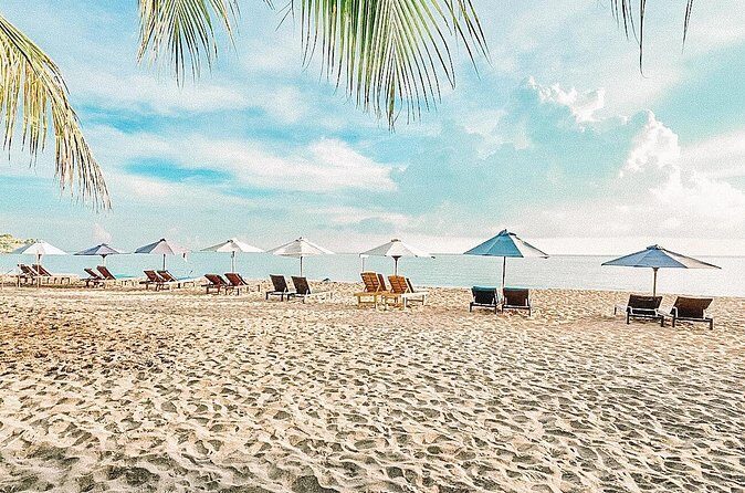 Amed Bali Snorkelling: Japanese Shipwreck & Vienna Beach Tour - Who Should Consider This Tour?