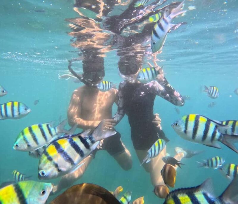 Amed: Snorkeling Trip by Traditional Jukung Boat - Introduction