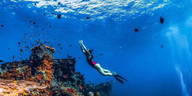 amed-snorkeling-trip-to-the-japanese-shipwreck