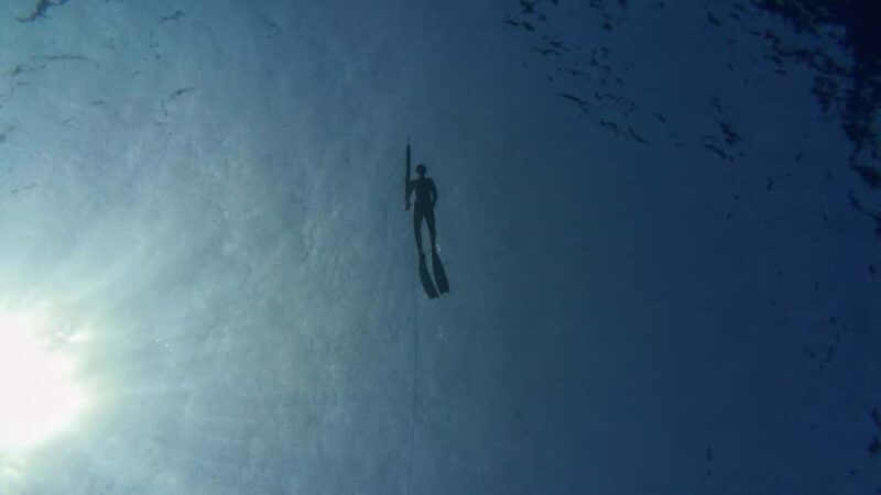 Amed: Spearfishing, Freediving and Catch & Cook Adventure - Ocean-Like Scenery & Wildlife