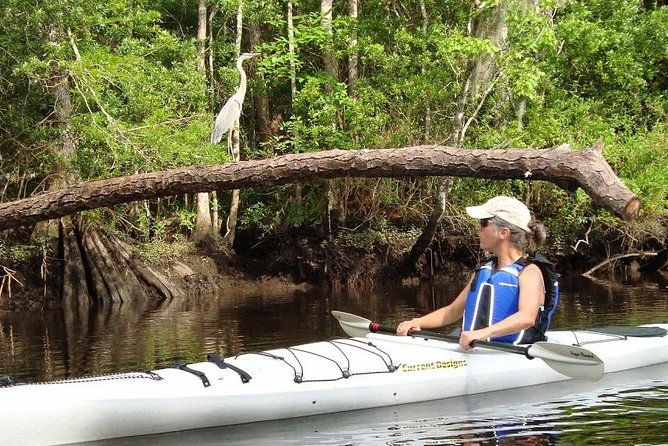 amelia-island-area-kayak-rental-on-lofton-creek-with-adventures-up-the-creek