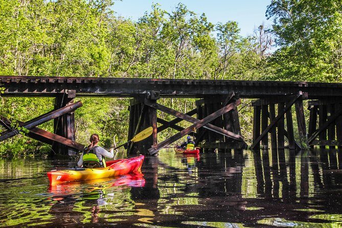 Amelia Island Guided Kayak Tour of Lofton Creek - Why This Kayak Tour Stands Out