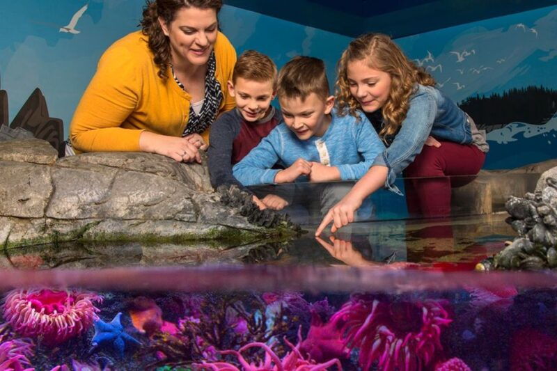 american-dream-sea-life-aquarium-entry-ticket