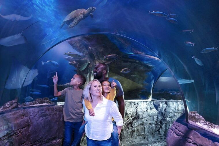american-dream-sea-life-aquarium-entry-ticket