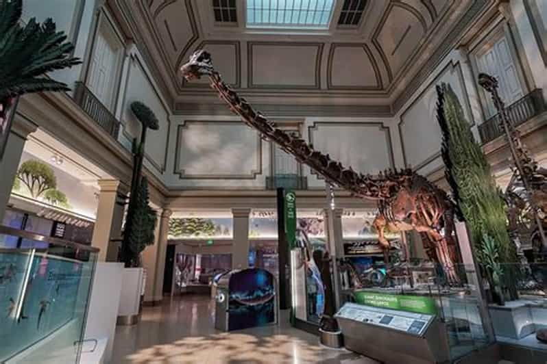 american-history-natural-history-museum-combo-guided-tour