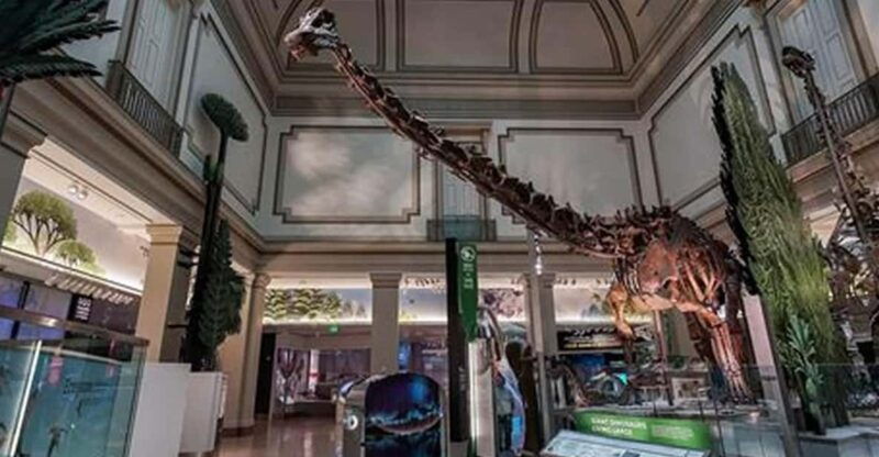 american-history-natural-history-museum-combo-guided-tour