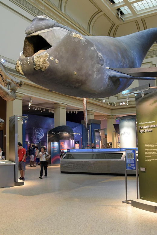 american-history-natural-history-museum-combo-guided-tour