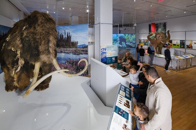 american-museum-of-natural-history-admission-ticket-2