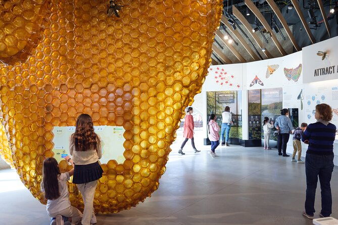 american-museum-of-natural-history-admission-ticket-2