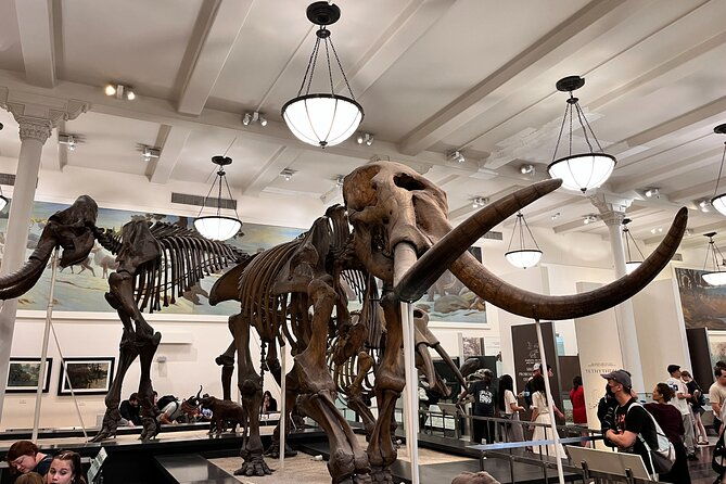 american-museum-of-natural-history-and-moma-combo-tickets