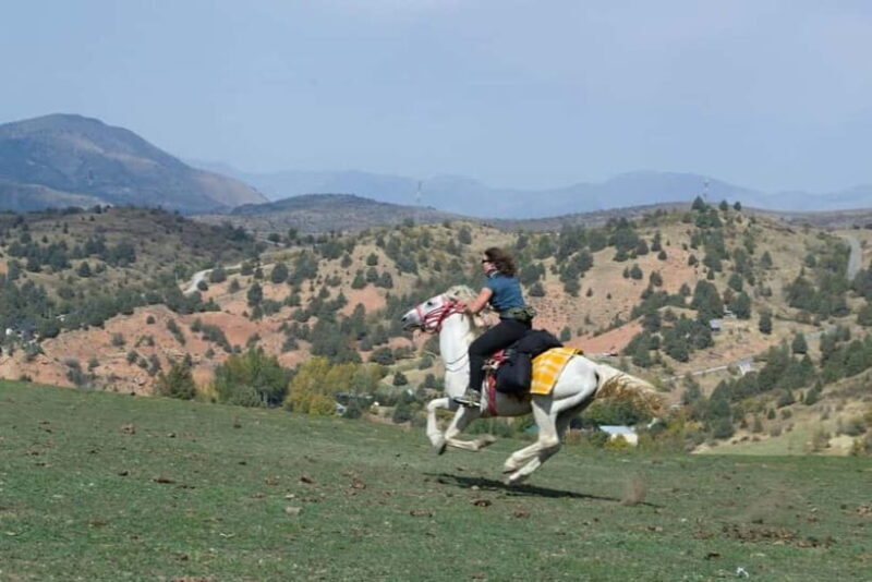 Amirsoy, Chimgan & Charvak Full-Day Adventure - Final Thoughts