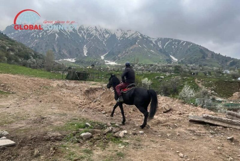 Amirsoy, Chimgan & Charvak Tour from Tashkent - An Honest Look at the Amirsoy, Chimgan & Charvak Tour from Tashkent