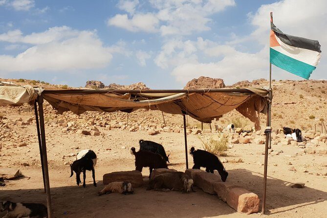 Amman and Aqaba airport lift to Petra and Wadi Rum - Practical Details and Tips