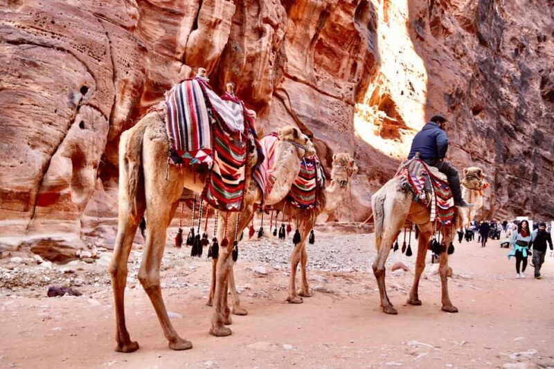 Amman to Petra Wadi Rum Dead Sea 2 or 3 Days Private Tour - In-Depth Look at the Tour