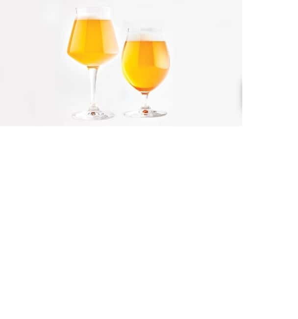 AMMOCHOSTOS Craft Brewery Beer Tasting & Cypriot Food Trip - Final Thoughts